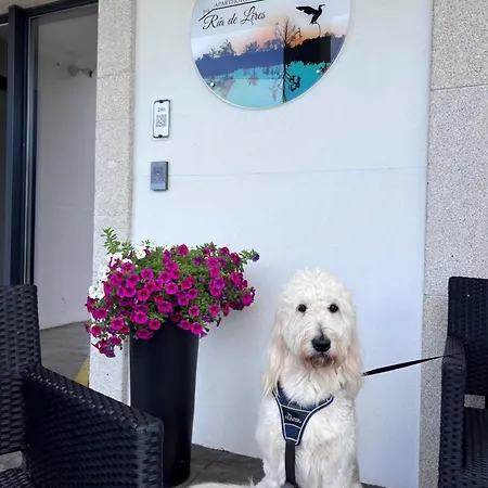 Ría De Apartahotel 4*